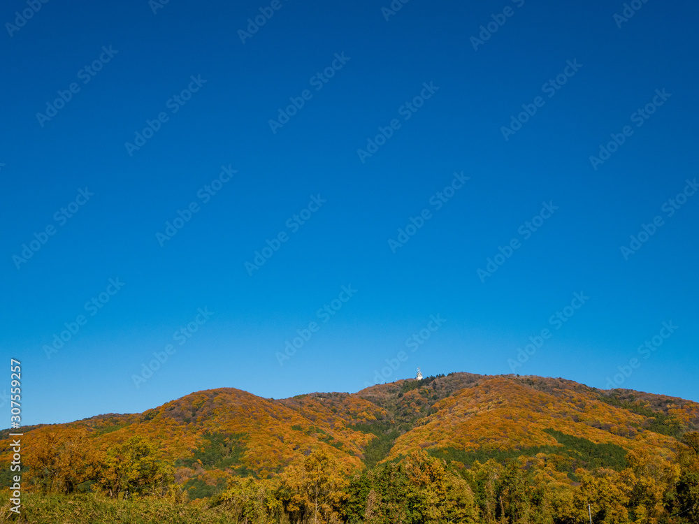 Naklejka premium つくば宝篋山の秋
