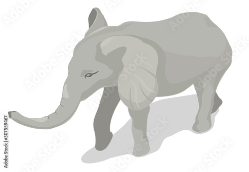 Isometric elephant vector illustration with white background. © shrike