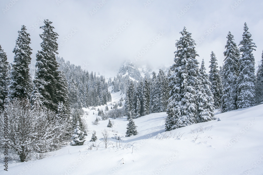 Fototapeta premium Allphotokz Tuyuk-Su 20060410 9141 5D