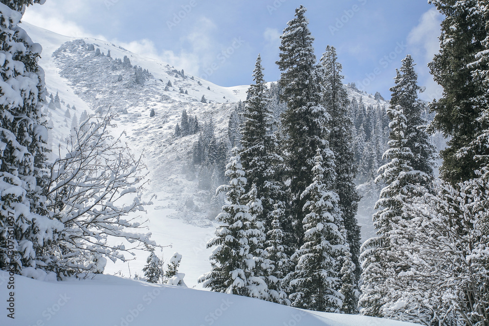 Fototapeta premium Allphotokz Tuyuk-Su 20060410 9148 5D