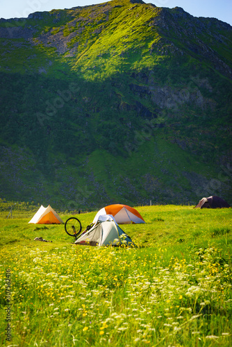 Tent and bike on nature, Lofoten Norway