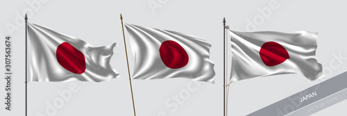 Set of Japan waving flag on isolated background vector illustration