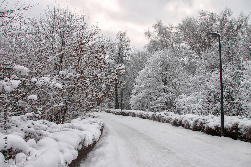 Fototapeta premium Snow-covered Park, forest, large snowdrifts. Snowstorm, snowstorm, winter. Huge drifts lie on the road. During the day, fluffy white snow falls in the Park.