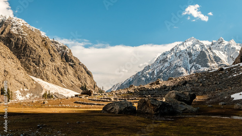 mountain landscape with snow and meadow