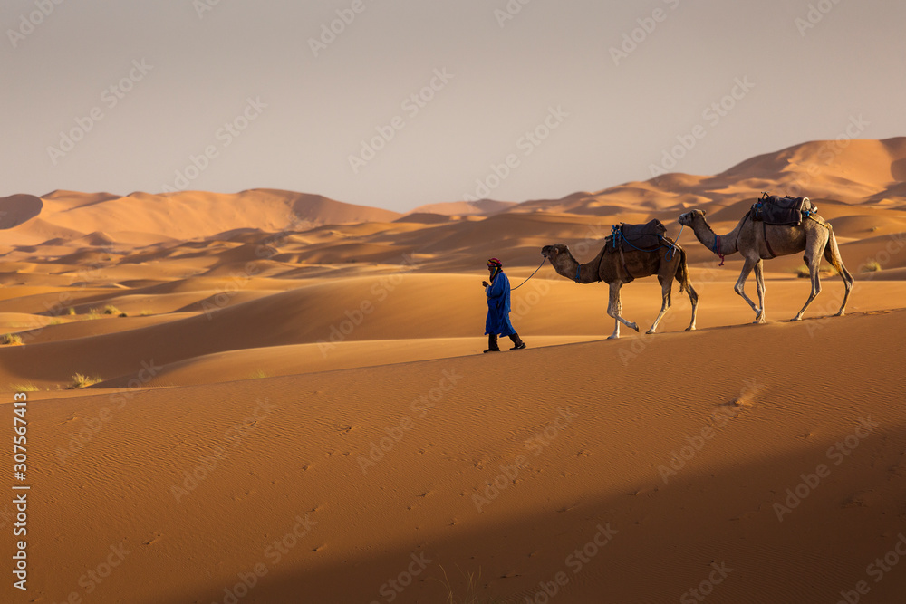 Camels caravan in the dessert of Sahara with beautiful dunes in background. Morocco Camels caravan in the dessert of Sahara with beautiful dunes in background. Morocco
