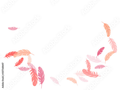 Detailed majestic feather on white design.