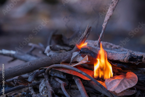 Bonfire, dry leaves, dry twigs, fuel for the fire