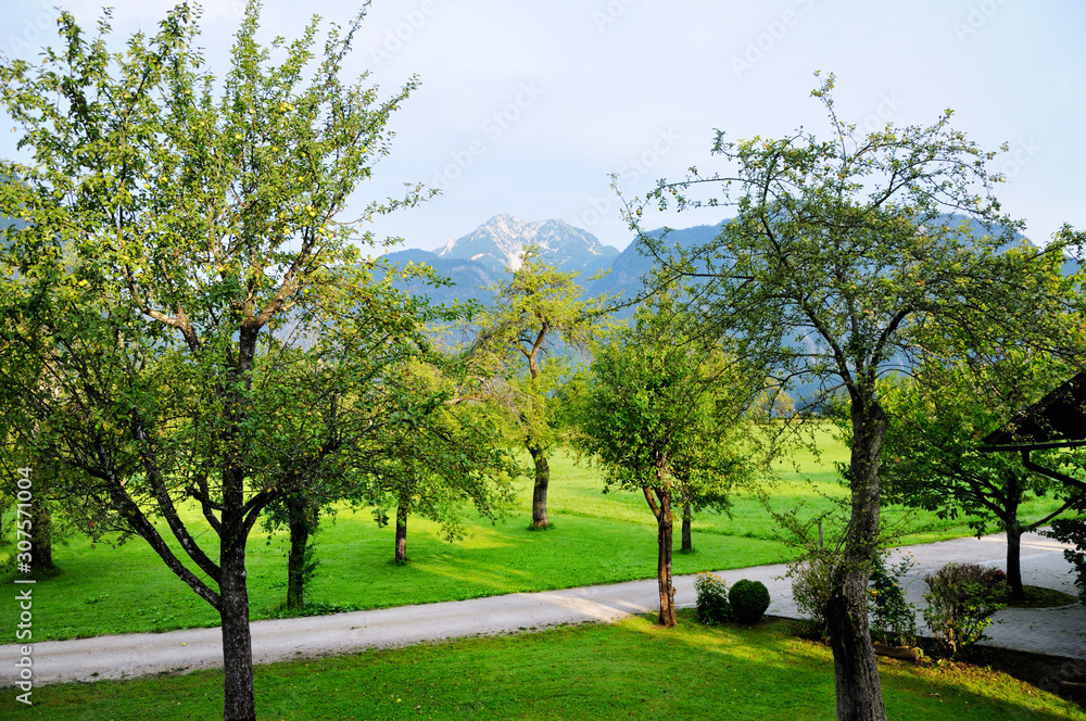 Garden with Apple trees. Green lawn and paths. Mountain peaks in the background. Garden with Apple trees. Green lawn and paths. Mountain peaks in the background.