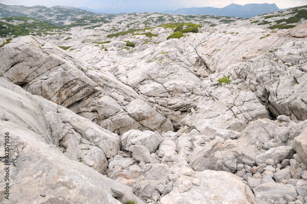 Mountains of white stone, limestone. Mountain plain with low-growing coniferous plants, covered with green moss.