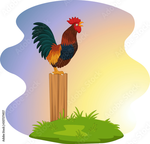 Cute rooster crowing on the fence