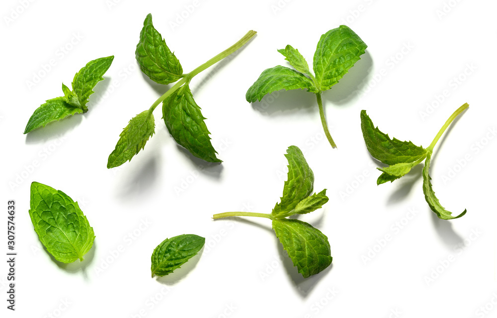 Naklejka premium Mint leaf set on white background