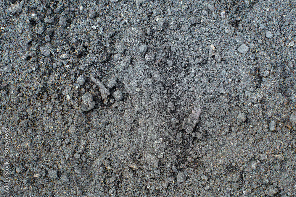 texture gray earth background, ground soil. texture gray earth background, ground soil.