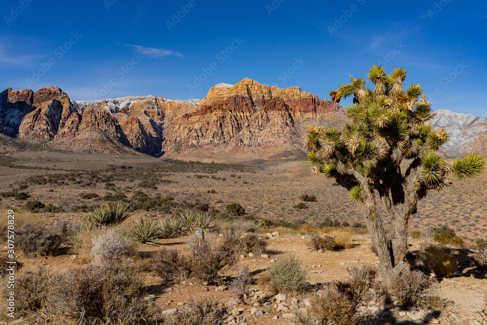 Winter snowy landscape of the famous Red Rock Canyon Winter snowy landscape of the famous Red Rock Canyon