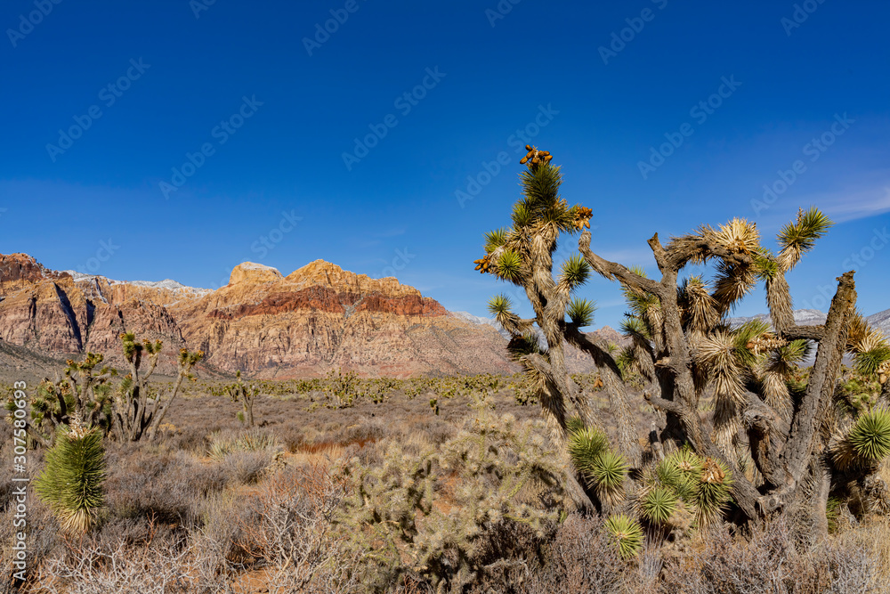 Winter snowy landscape of the famous Red Rock Canyon Winter snowy landscape of the famous Red Rock Canyon