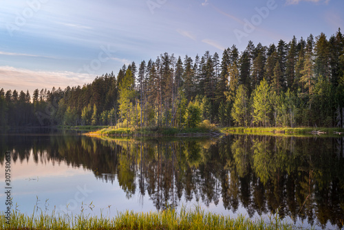 Finland lake landscape in summer © tommitt