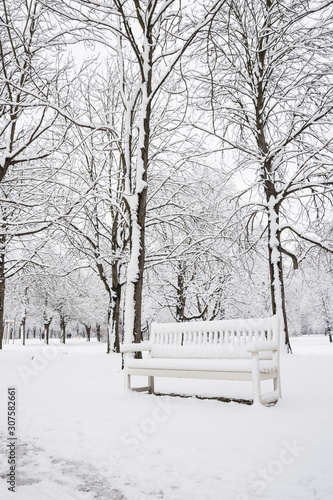 a white bench in a park in winter