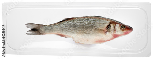 Fresh vacuum packed whole sea bass fish photo