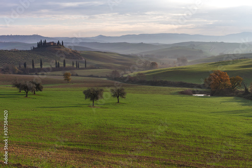 Famous Podere Belvedere in morning light, in the heart of the Tuscany, near San Quirico in de Val d'Orcia valley