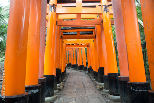 Fushimi Inari Gates, Torii Gates-Japan © Lovina