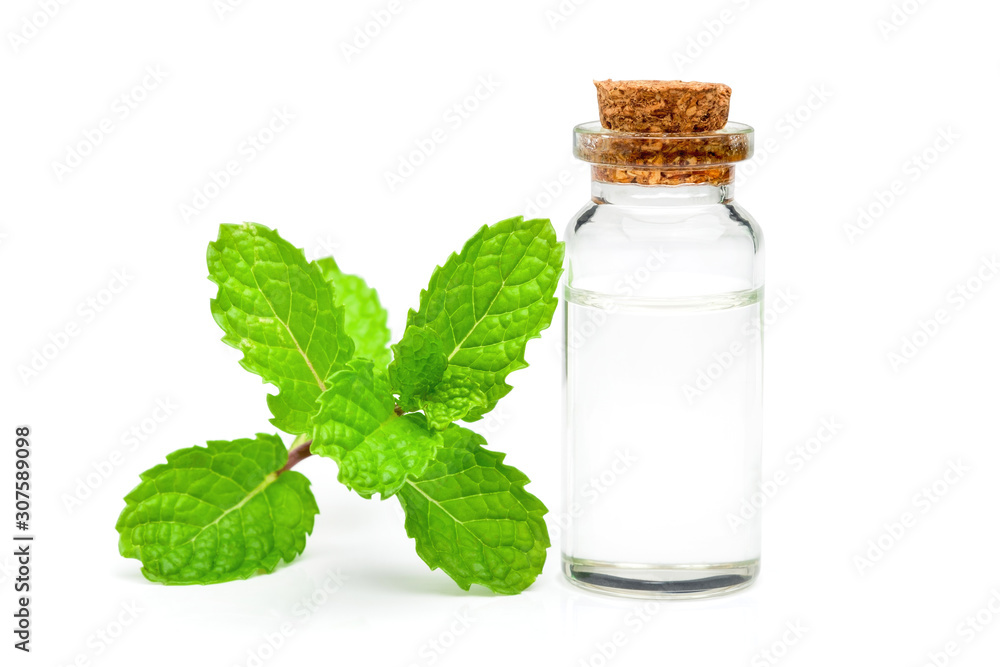 The oil is extracted from the plant in a glass bottle with a lid and Mint leaves on a white background. The oil is extracted from the plant in a glass bottle with a lid and Mint leaves on a white background.