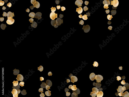 Gold seashells vector, golden pearl bivalved mollusks. 