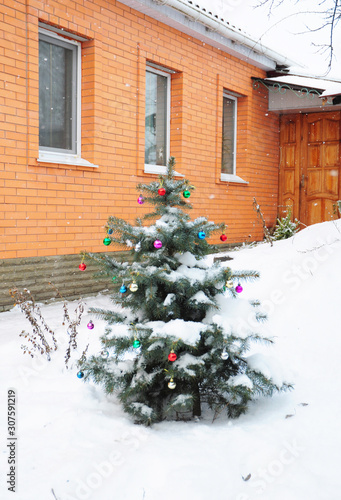 Colorado Blue Spruce Tree Covered Snow with Colorful Christmas Balls Decoration in the Garden near House © bildlove