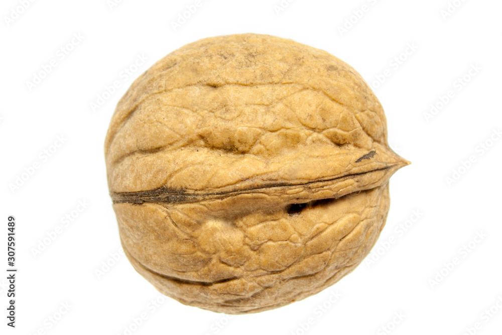 Walnut closeup on a white background. Isolated Walnut closeup on a white background. Isolated