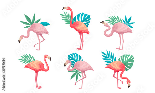 Beautiful Pink Flamingos Set, Tropical Exotic Birds with Palm Leaves Vector Illustration