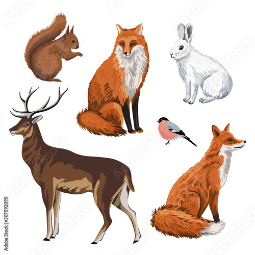 Cute red fox, white rabbit, squirrel, bullfinch, deer winter woodland animals clip art.