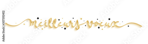 Bannière calligraphique vecteur « MEILLEURS VOEUX » 