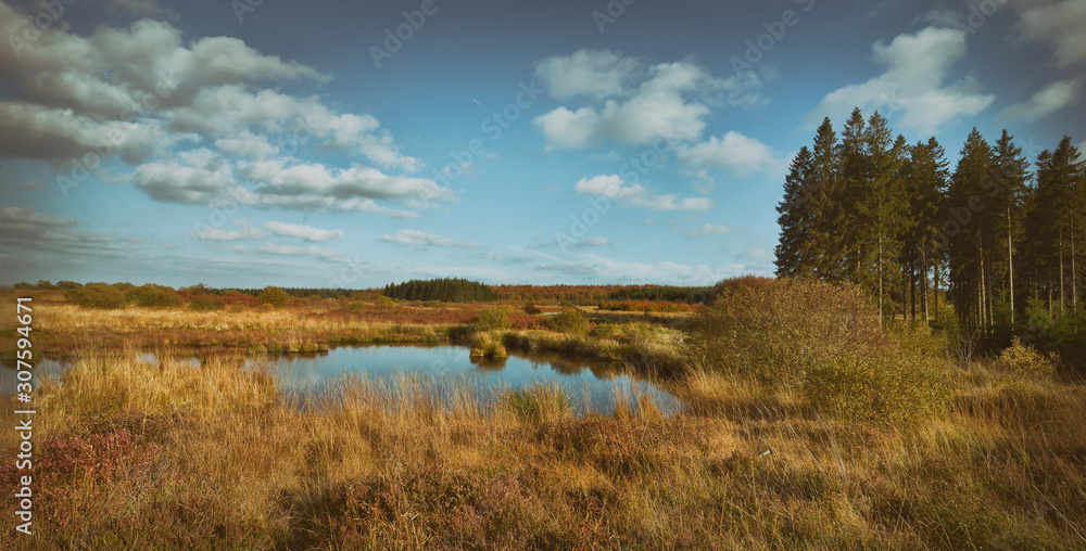 Brack Venn in der Eifel in Deutschland und Belgien Brack Venn in der Eifel in Deutschland und Belgien