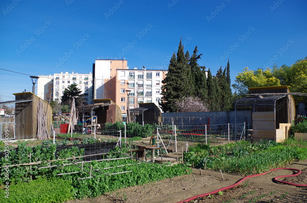 Jardin populaire et ouvrier dans la ville avec les immeubles et la verdure Jardin populaire et ouvrier dans la ville avec les immeubles et la verdure