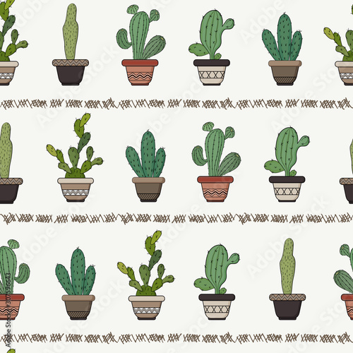 Cacti in flower pots. Horizontal pattern on a white background.