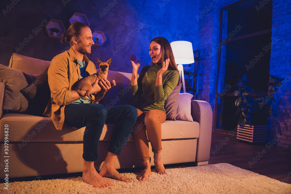 Naklejka premium Portrait of his he her she nice attractive cheerful cheery glad spouses sitting on divan guy giving toy terrier to girl on 25 December Eve Noel at night home house living-room apartment