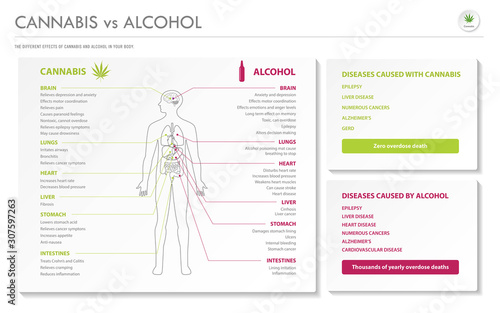 Cannabis vs Alcohol horizontal business infographic illustration about cannabis as herbal alternative medicine and chemical therapy, healthcare and medical science vector.
