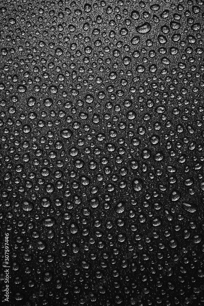 abstract background: many drops of water on a dark surface - non-stick coating in a pan. Black and white photo abstract background: many drops of water on a dark surface - non-stick coating in a pan. Black and white photo
