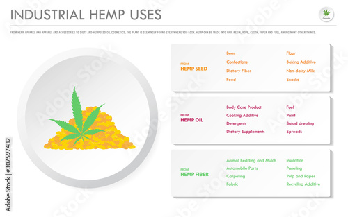 Industrial Hemp Uses horizontal business infographic illustration about cannabis as herbal alternative medicine and chemical therapy, healthcare and medical science vector.