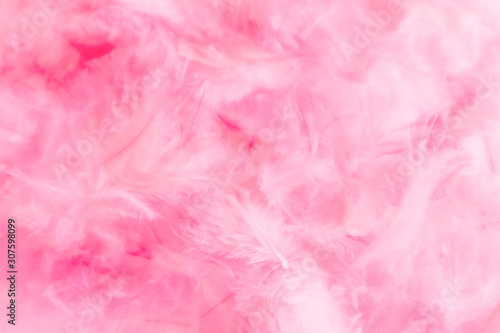 Beautiful abstract colorful white and pink feathers on white background and soft white red feather texture on pink pattern, pink background, valentine's day theme