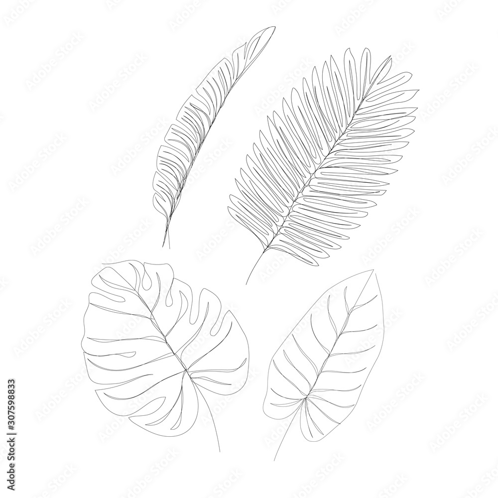 Tropical leaves - contour line drawing Tropical leaves - contour line drawing