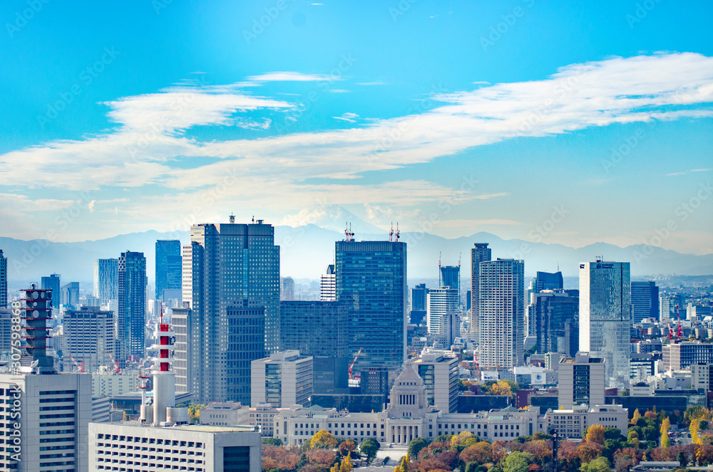 Naklejka premium 東京上空