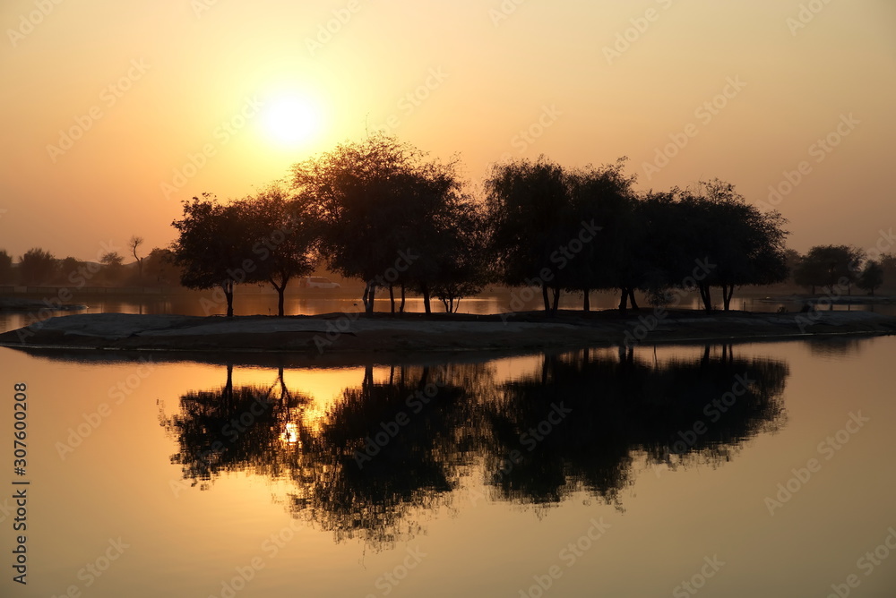 Silhouette tree on the sunset at Al Qudra love lake, Dubai, United Arab Emirates