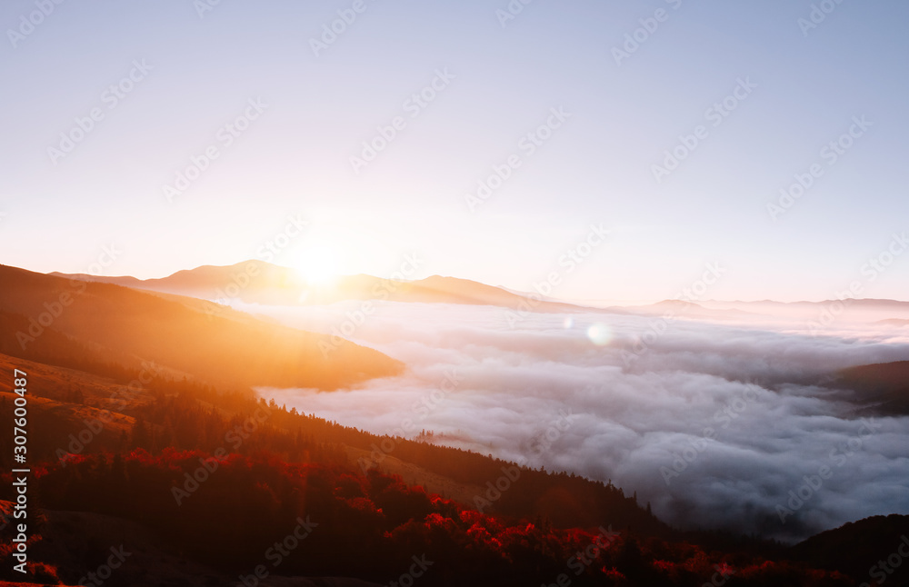 Fototapeta premium Perfect morning moment in alpine foggy valley.