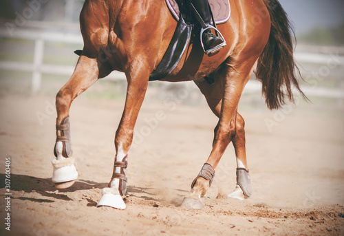 The legs of a graceful unshod horse, with a rider in the saddle, trotting across the sandy arena, and kicking up dust in the sunlight.
