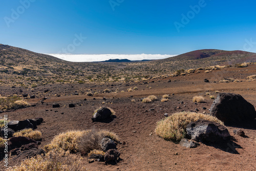 Parque nacional del Teide (Tenerife, Islas Canarias - España).