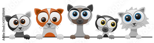 vector illustration of cute cartoon cat series 2