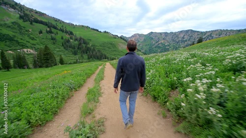 Albion Basin, Utah man handheld pov pan walking hiking on green summer meadows trail in wildflowers season with pink flowers in Wasatch mountains wide angle view