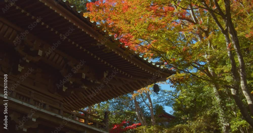 Shitenno- mon in Yakuoin Temple with Fall Foliage in Mt. Takao, Tokyo Japan Shitenno- mon in Yakuoin Temple with Fall Foliage in Mt. Takao, Tokyo Japan