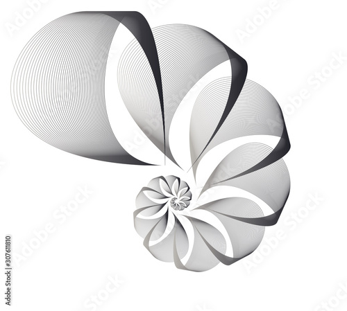 wired veils nautilus silver white