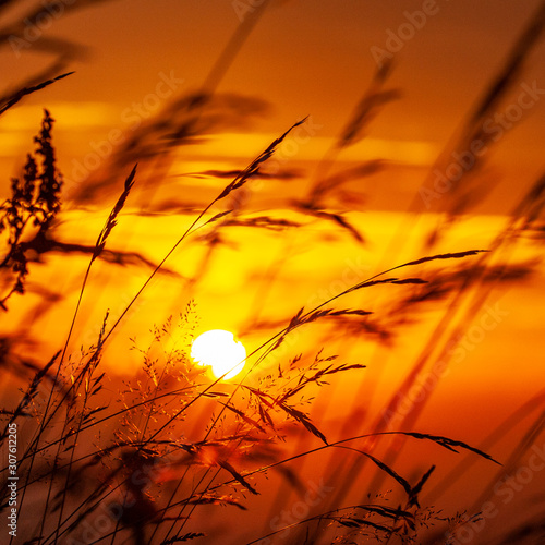 brindille soleil