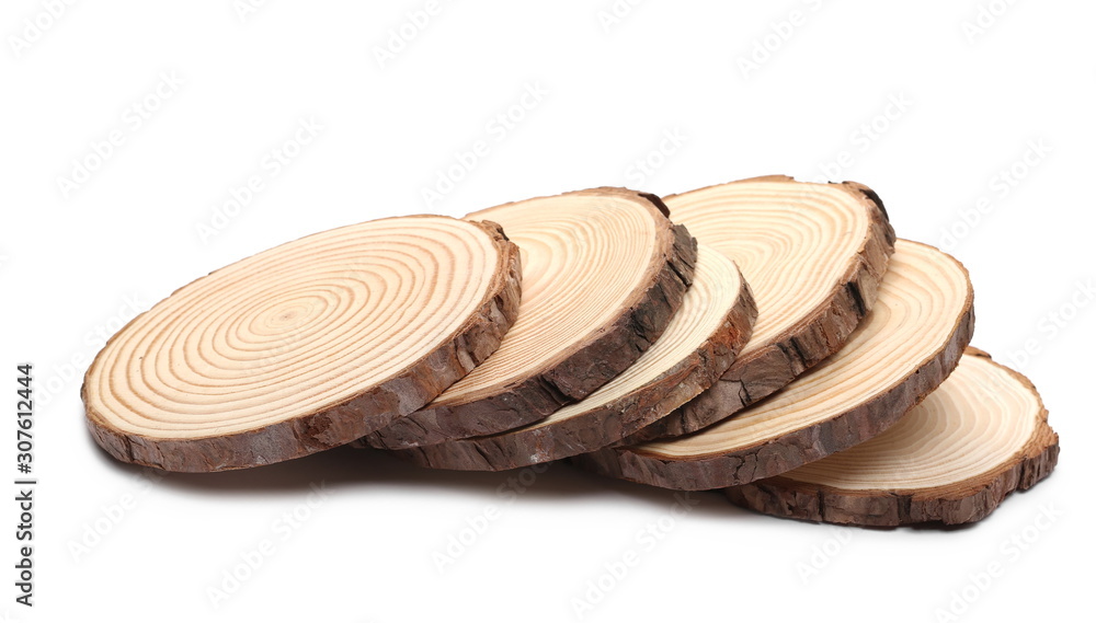 Colum Tree Struss Cross section of tree trunks, stumps, isolated on white background ...